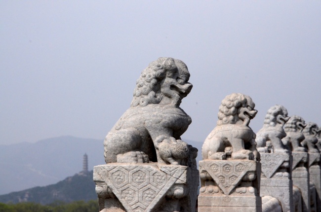 2024的凶星生肖 运势不佳多多注意