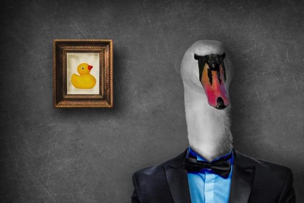 2024招桃花的生肖 有机会找到正缘