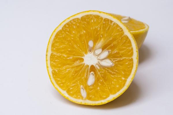 属猪女和属鸡男的合不合 猪女和鸡男注意事项