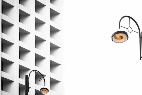 属兔和属蛇的婚配吗 生肖兔和蛇相配吗