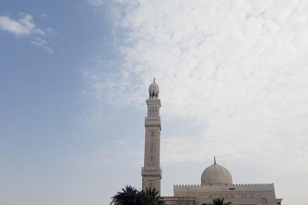 属羊男和属鼠女婚姻配吗 男属羊与女属鼠婚配如何