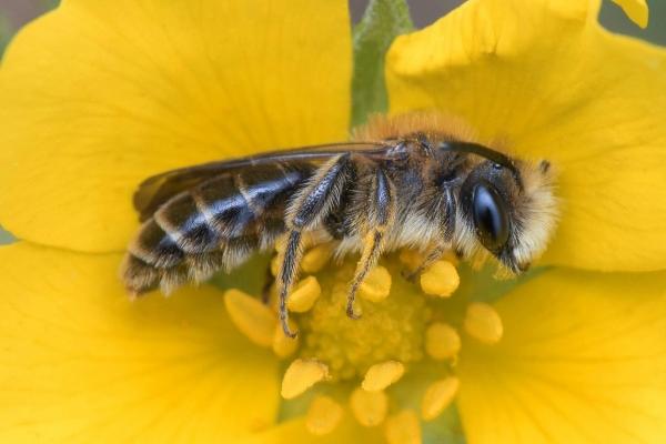 2024复合的生肖女 旧爱复合的生肖