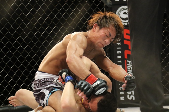 属狗婚配哪个属相最好 兔狗互相理解互相支持