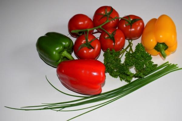 高智商的生肖 聪明有智慧