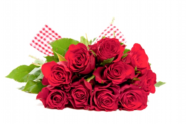 头脑有点蠢的生肖 头脑愚笨感性思考