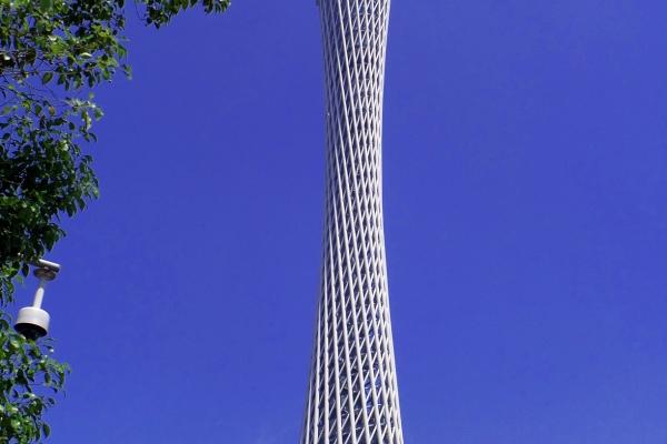 2024龙年行大运的生肖 诸事顺心行好运