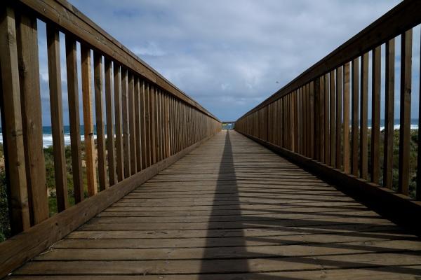 1954年属马人2024年运势及运程男，54年70岁生肖马2024年全年运势详解