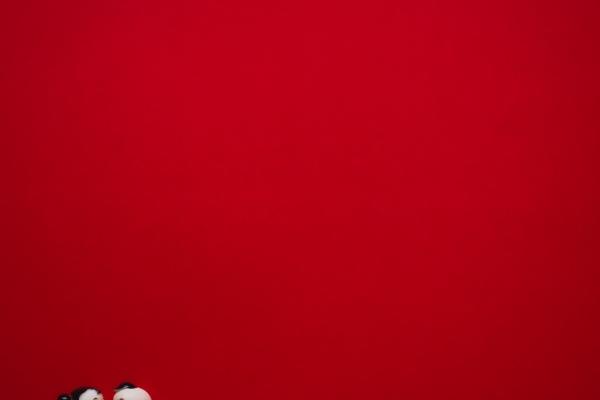 属猪女孩找对象属啥好 猪女兔男相互爱护