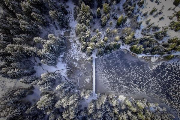 龙虎结合姻缘好吗 龙虎性格如何