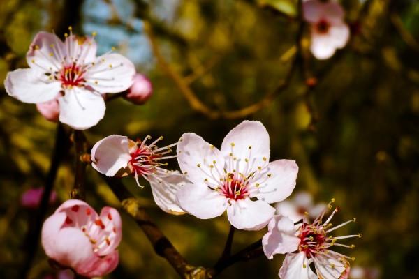 1988年的龙什么时候走财运，属龙财运最旺的年份