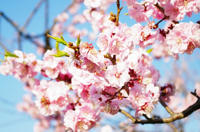 1988年2024本命年运势 感情糊涂事业风波