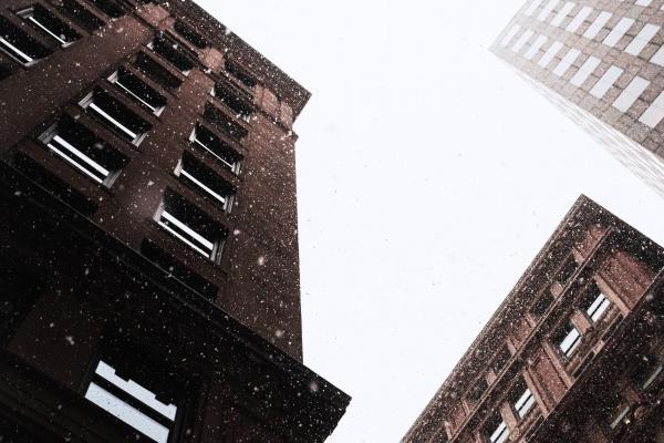 第一运程 2023年11月25日十二生肖运势解析