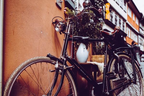 2018年属狗人2024年运势及运程女,18年6岁生肖狗2024年全年运势详解