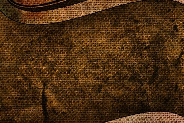 第一运程 2023年11月26日十二生肖运势解析