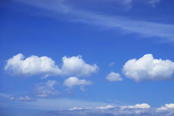 1976年属龙的最佳婚配 属龙人婚配建议