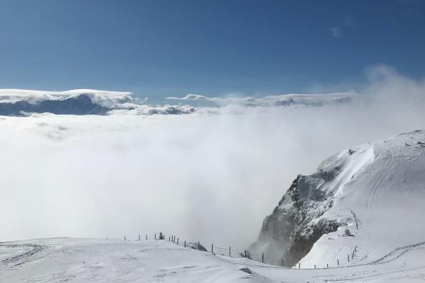 75年属兔男和76年属龙女婚姻 龙兔性格匹配吗