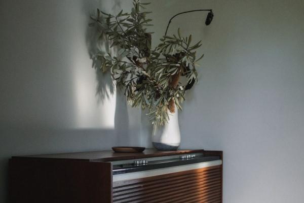 2024添喜的生肖 2024年适合生宝宝的生肖