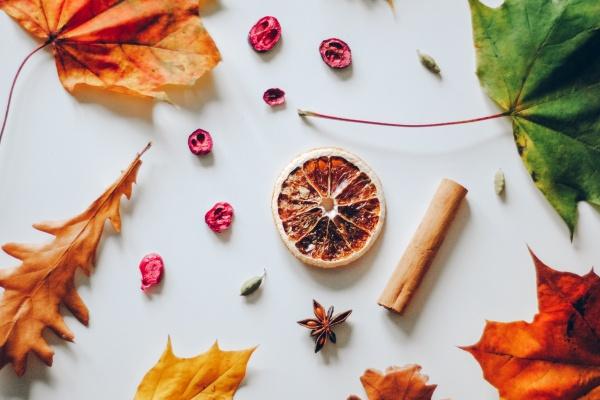 麦玲玲属狗人2024年全年运势运程详解