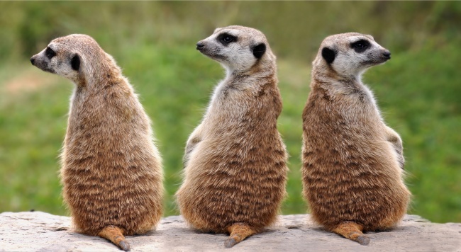 1987年兔爸爸生2024年龙宝宝好吗，1987年属兔2024年禁忌