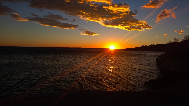 麦玲玲属鼠人2024年全年运势运程详解