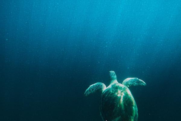 2024破太岁的生肖 破太岁要如何化解