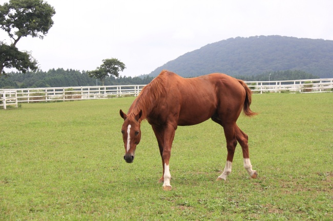 2024年入火运对土命人好吗，运势发展如何