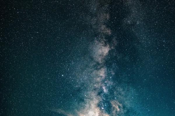 2024年运势测算免费 浅聊生肖运势情况