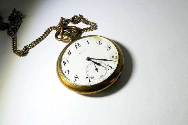 麦玲玲属牛人2024年全年运势运程详解