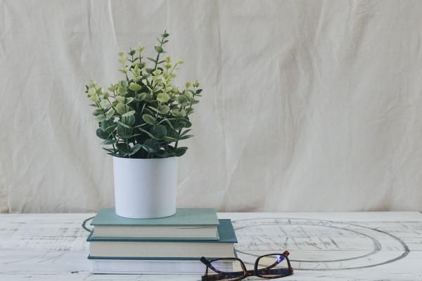 2024年下半年最倒霉的生肖，什么属相最不顺