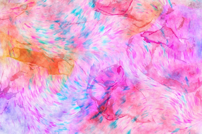 79羊81鸡婚配为大忌 79年属羊男的一生命运