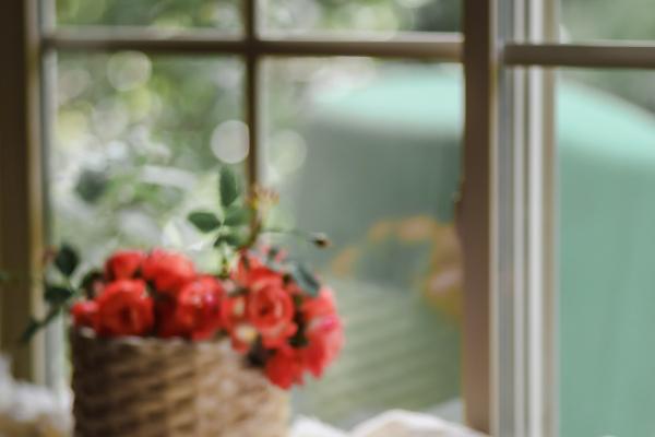 2024年什么生肖最旺 龙年兴旺的属相有谁