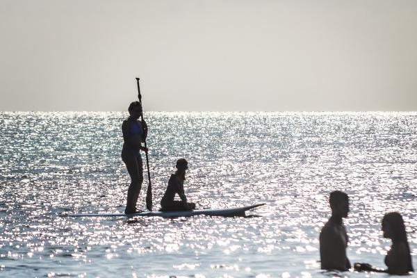 金蛇之命是上等命吗，属蛇人金命一生命运如何