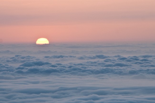 属马和属猴能过到一辈子吗 马猴的性格特点