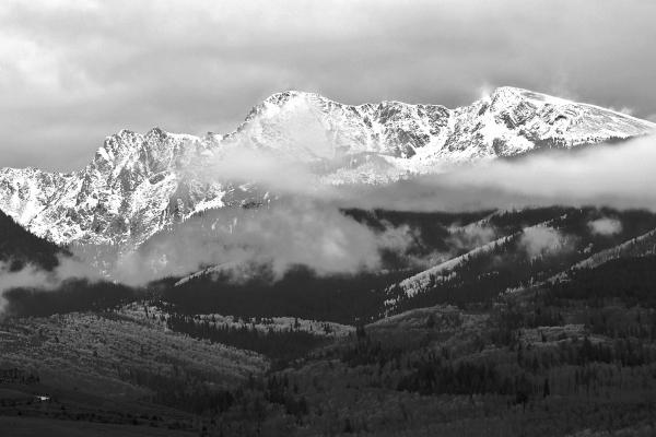 2024十二生肖野心大的生肖 野心十足的属相有谁