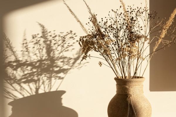 属鼠出生最好六个吉日，属鼠人最好的出生日是哪几天