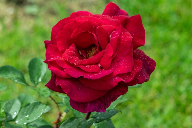 属猴2023的幸运数字 幸运颜色有什么