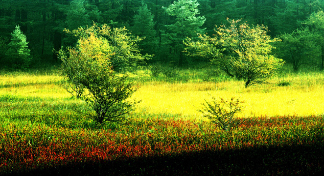 2024横财入命的四大生肖 四个生肖横财连发