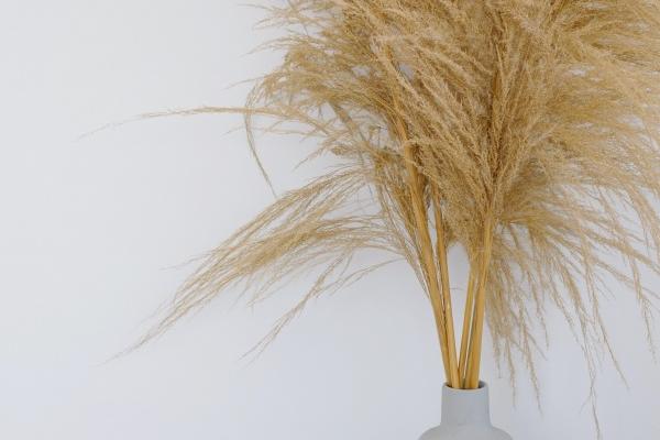 为什么龙年不能要孩子 属龙人命好吗