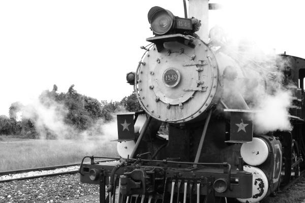 天生好运好命是4大生肖女，2024年运势也不会差！