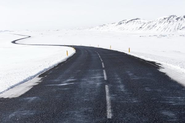 梦见买菜花什么寓意