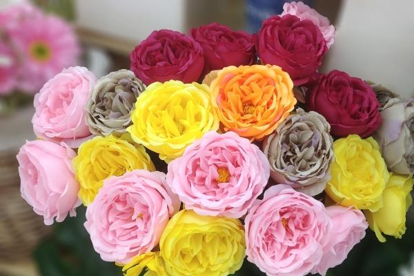 第一运程 2024年十二生肖周运1.8-1.14