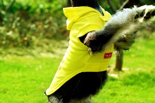 属鼠2024年结婚吉日查询 属鼠人2024年结婚最好的日子