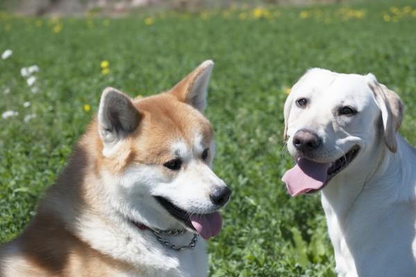 属鸡2023年三大喜事 是哪三大喜事发生