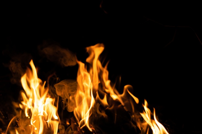 86属虎女一生有几次婚姻状况 86虎女合婚生肖