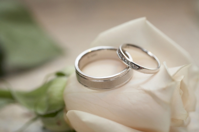 十二生肖2024年全年运势详解 2024各生肖运势