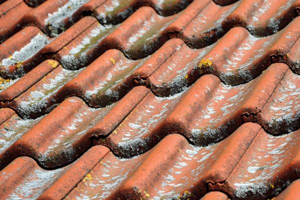 今日生肖冲煞 2024年2月5日生肖冲什么属什么