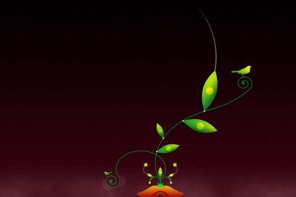 2024龙年犯太岁的四个属相 会经历很多挫折