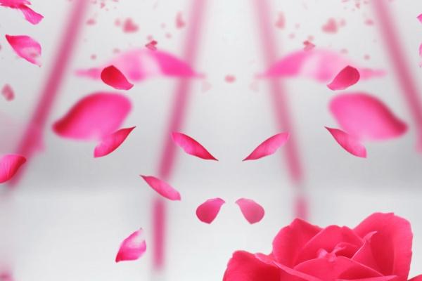 2024年2月24日元宵节特吉生肖 今日生肖小运播报