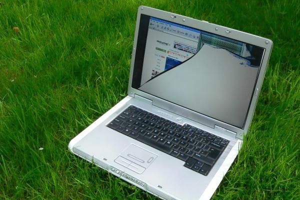 2024属羊运气好不好 聊聊属羊人的运势