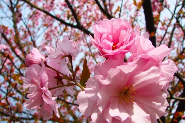 2024年2月17日出行吉日 出行吉祥吗